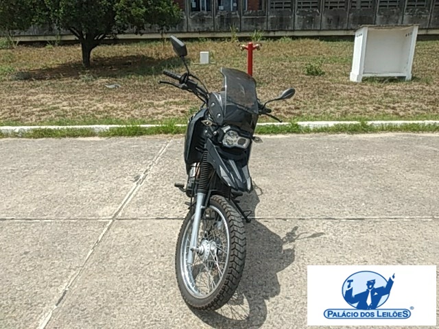 SHINERAY SHI 175 2024